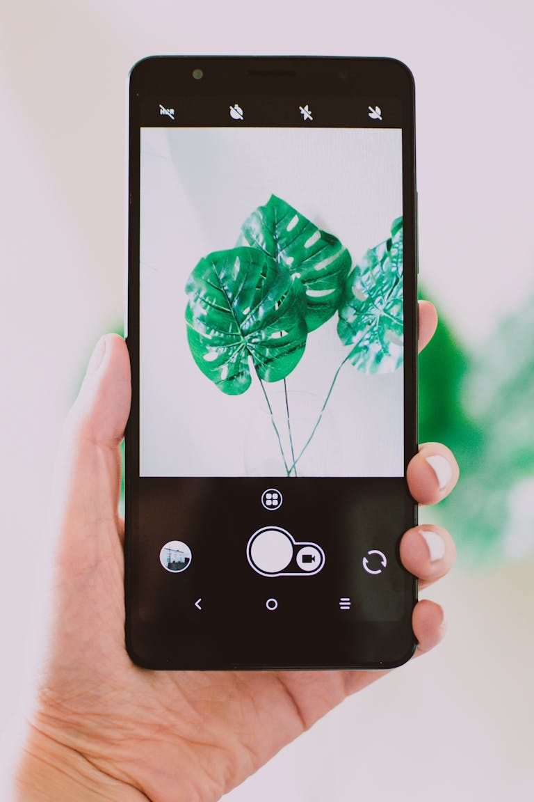 A hand holds a smartphone displaying a monstera plant photo, blending nature and technology.