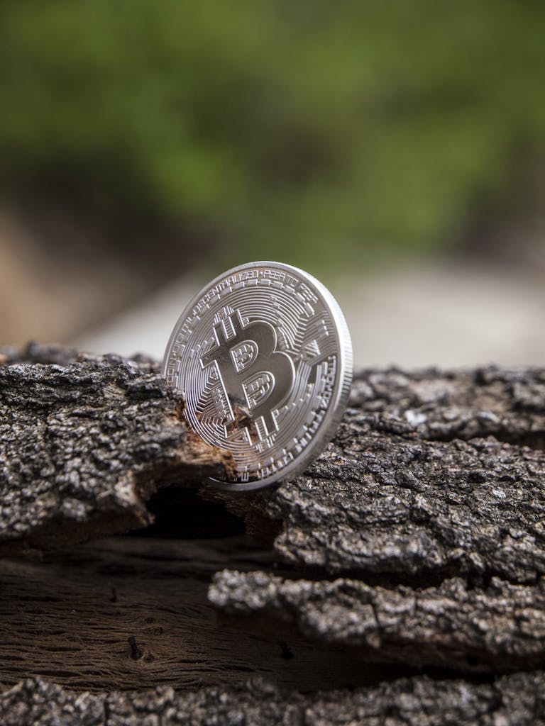 A silver Bitcoin coin resting on textured tree bark with a blurred natural background.