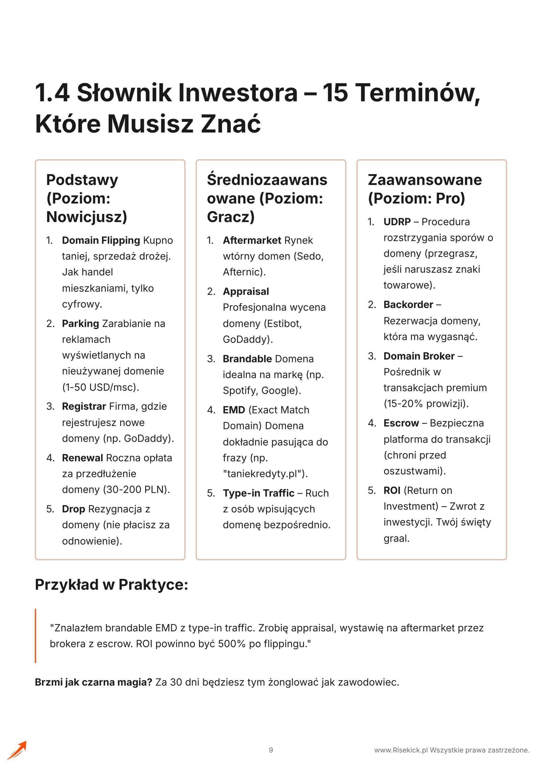 Jak Jedno Słowo i „.ai” może być Warte 274K Dolarów? – Jak znaleźć i sprzedać domenę za tysiące?
