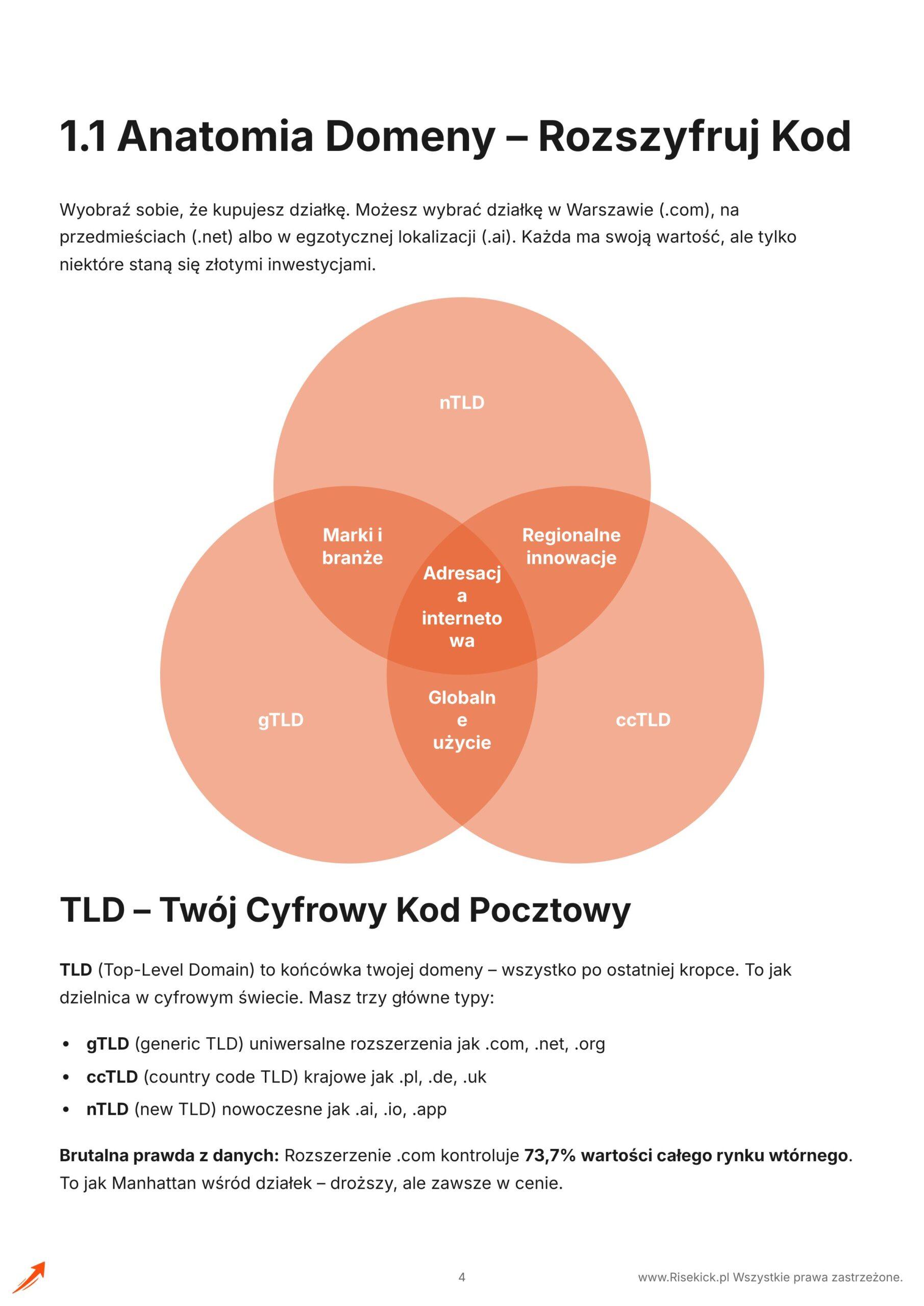 Jak Jedno Słowo i „.ai” może być Warte 274K Dolarów? – Jak znaleźć i sprzedać domenę za tysiące?